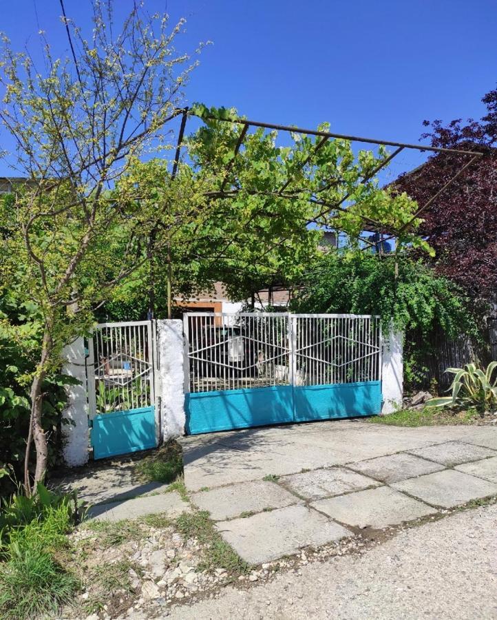Guest House New Athos 외부 사진