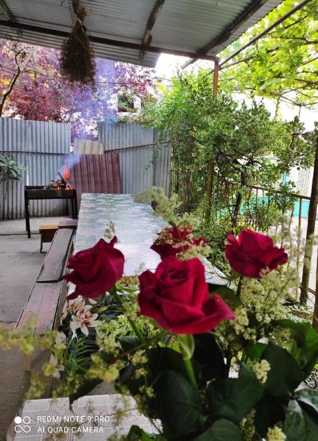 Guest House New Athos 외부 사진